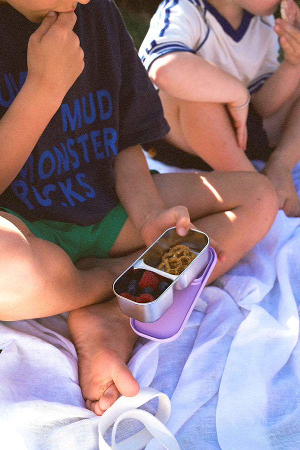 The LunchMate™ in Purple Pop - Stainless Steel Lunchbox Set, BPA free