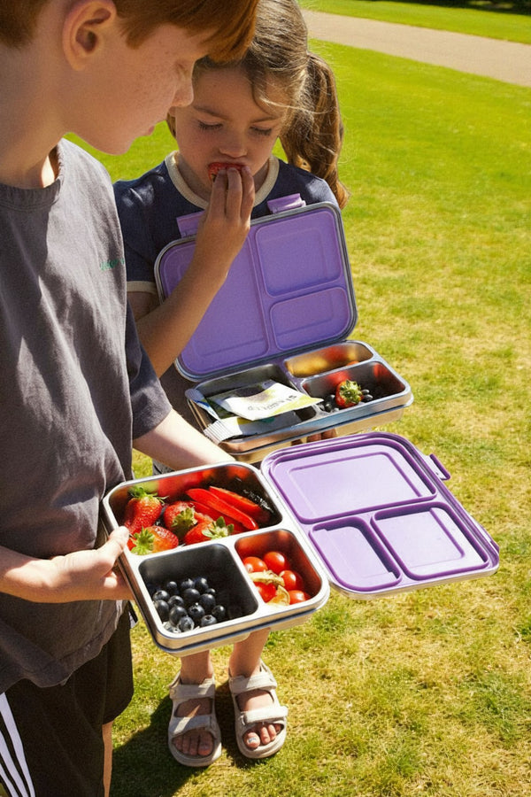 The LunchMate™ Duo in Purple Pop - Stainless Steel Lunchbox Set